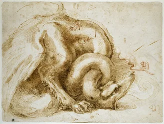 Studie af et bevinget monster, ca. 1525 (rødt og sort kridt på papir)